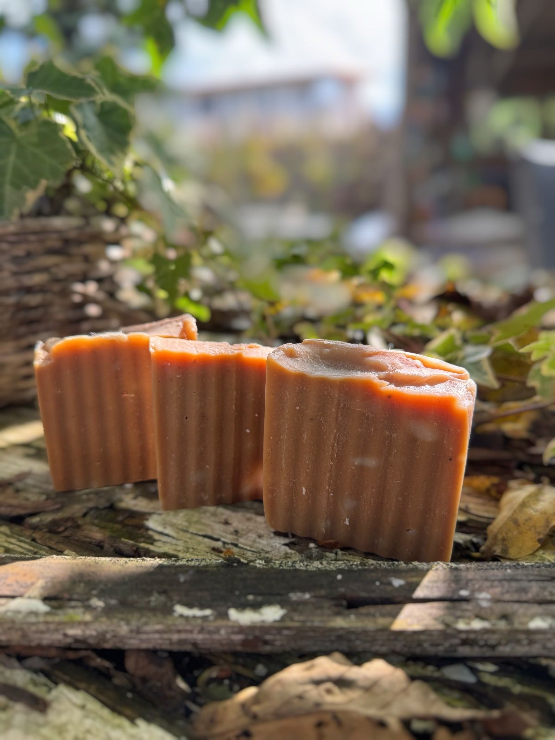 Goldene Honigseifen – Luxus für samtweiche Haut 🍯