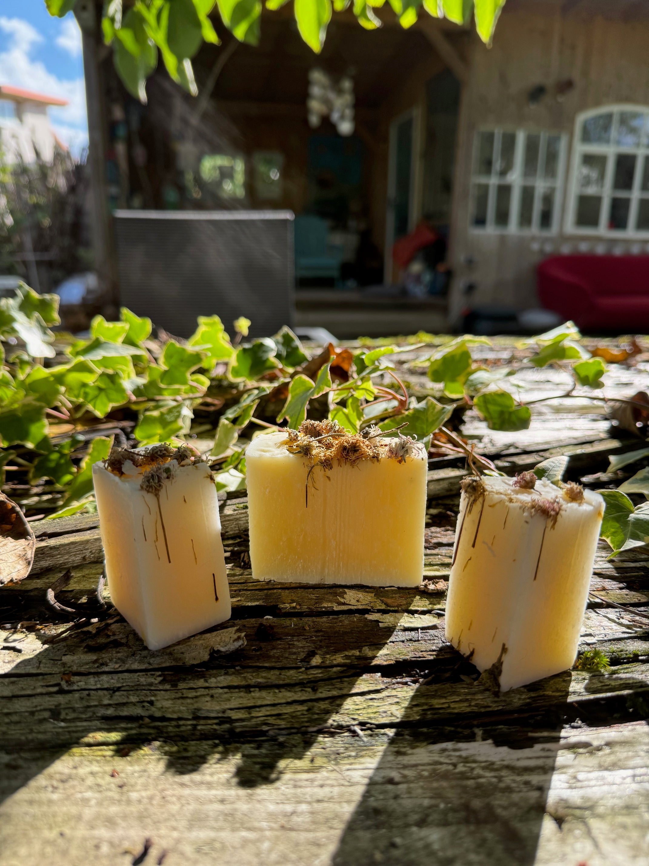 Früh'linchen