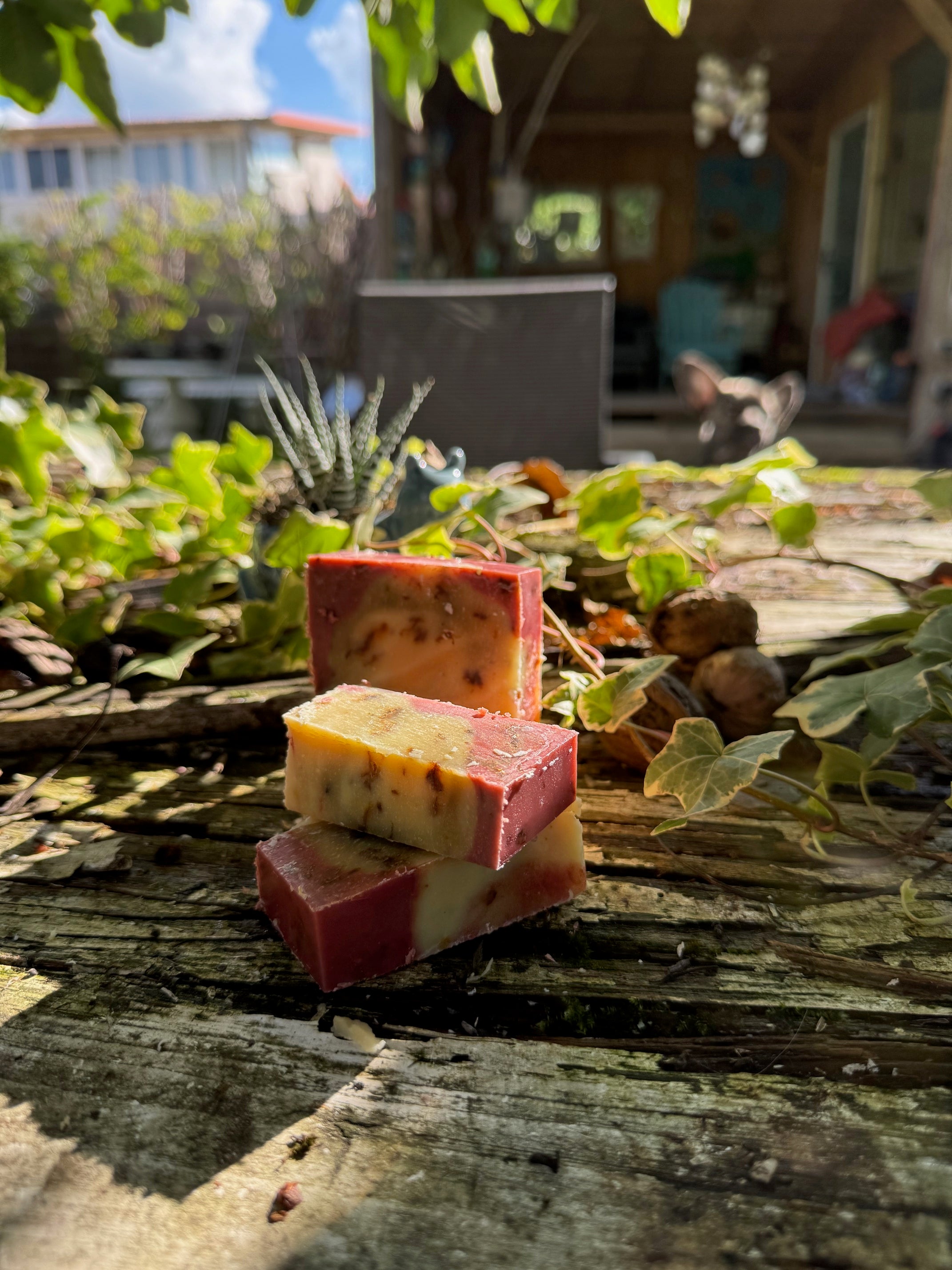 Rosenträume'linchen